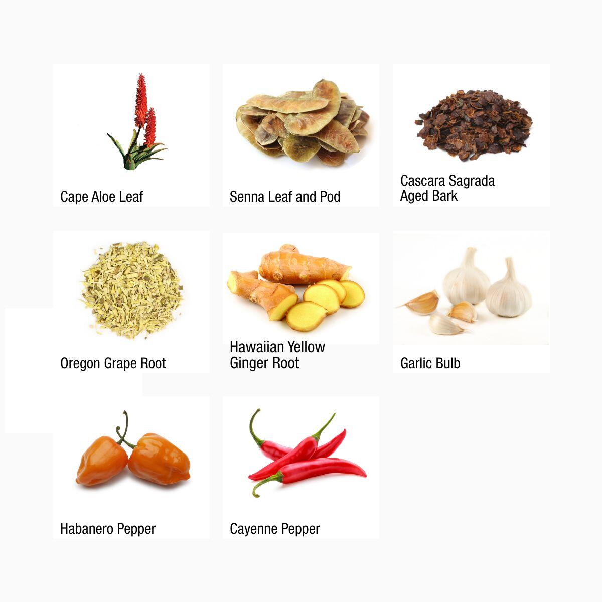 Intestinal Formula #1 - Dr. Schulze Bowel Detox & Cleanse - herbdoc.com