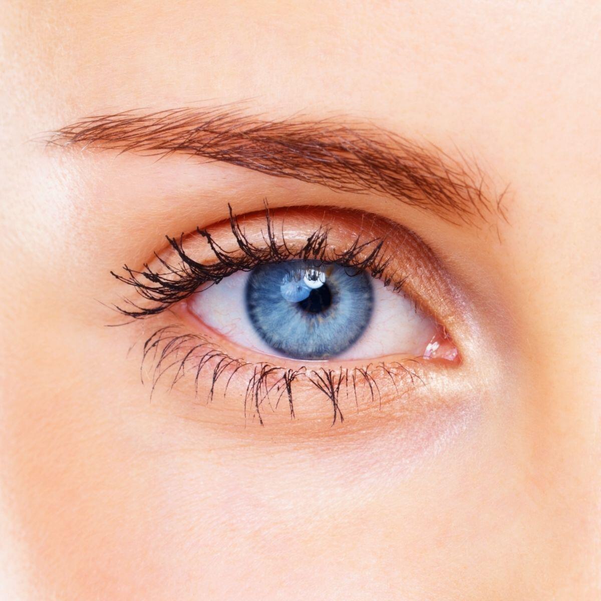 Eyebright Formula - Dr. Schulze - herbdoc.com